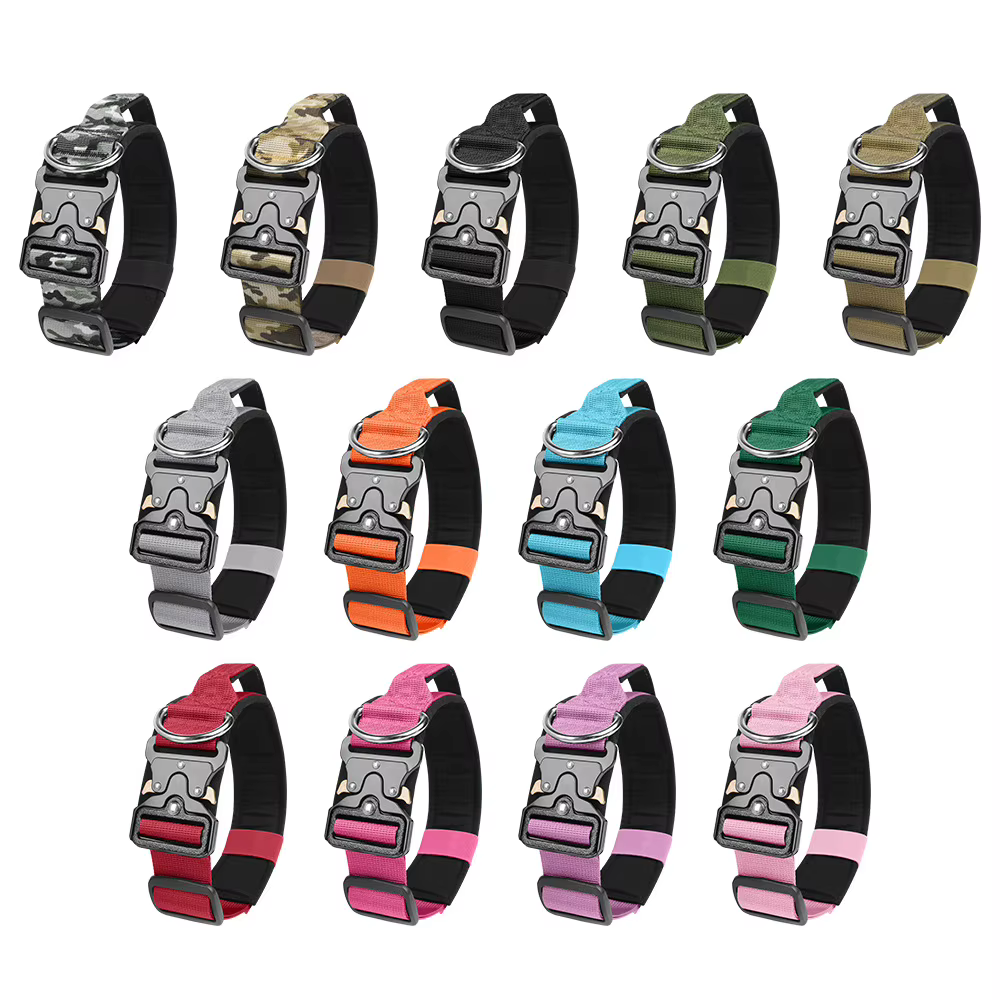 Collier Tactique pour Chien Réglable et Robustesse