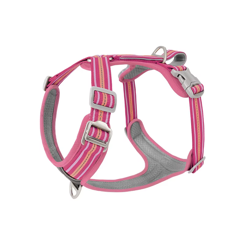 Harnais pour chien réglable