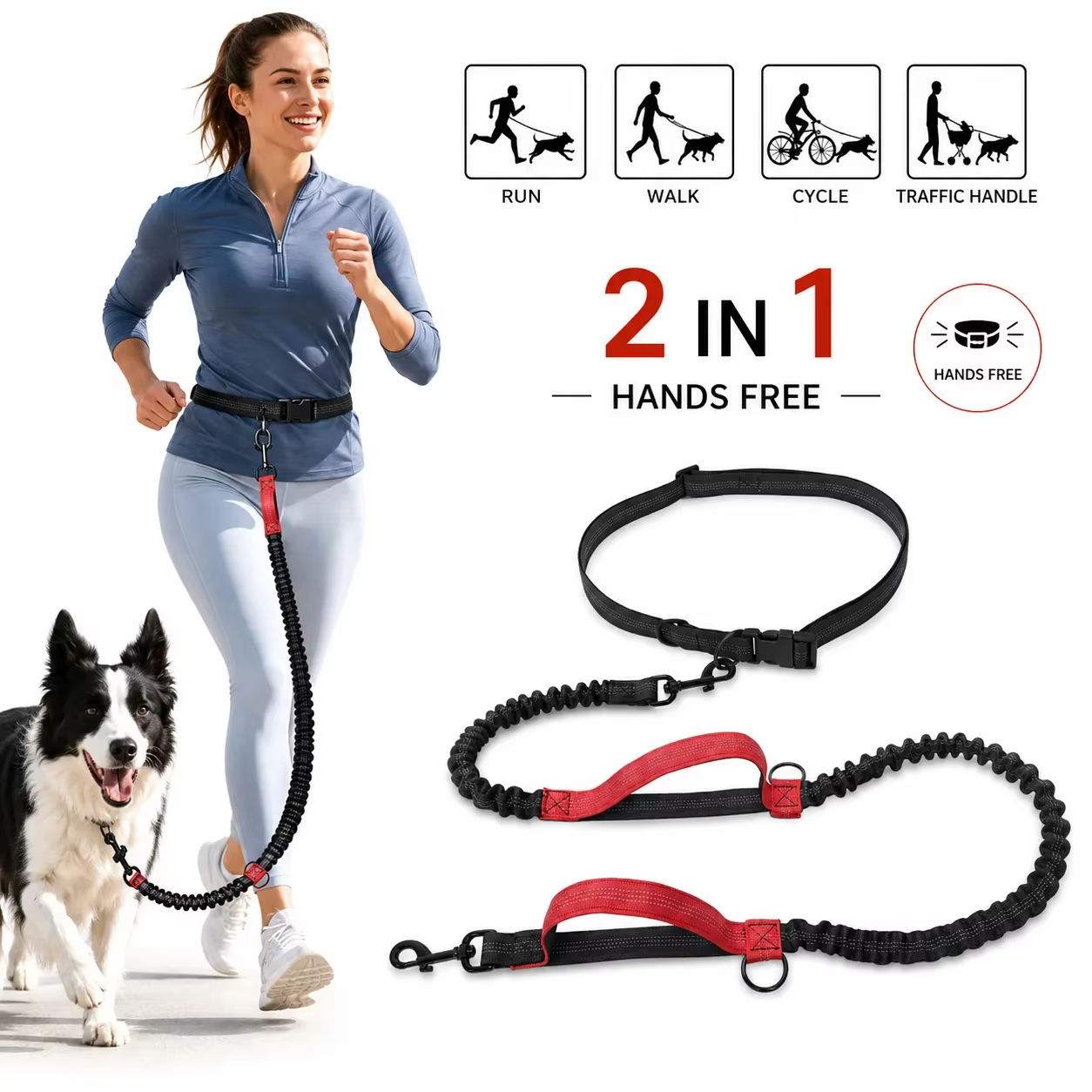 LAISSE POUR CHIEN 