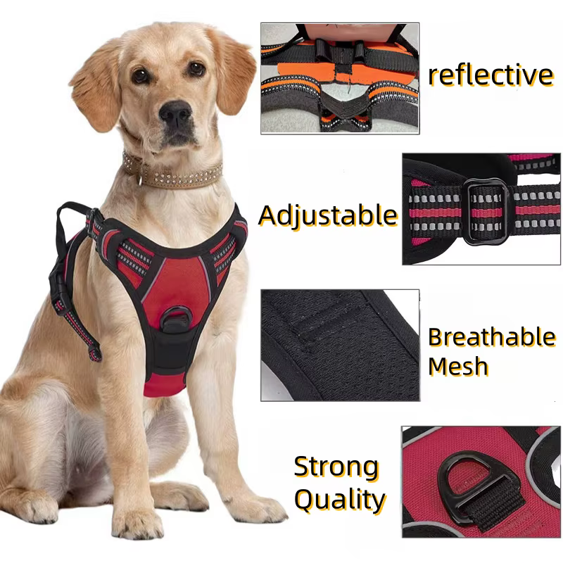 Harnais pour chien réglable et confortable – Sécurité, maintien et visibilité