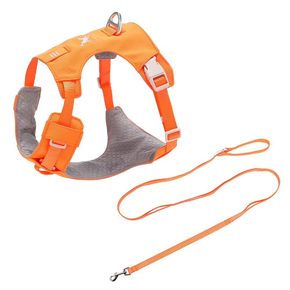Harnais Confort & Laisse pour Chien — Léger et Ajustable
