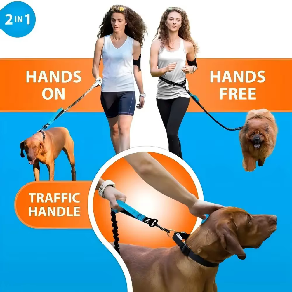LAISSE POUR CHIEN 