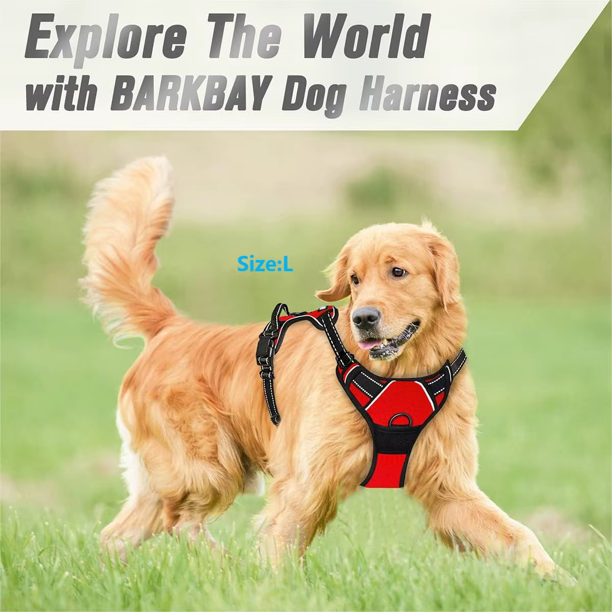 Harnais Chien Réfléchissant Réglable 