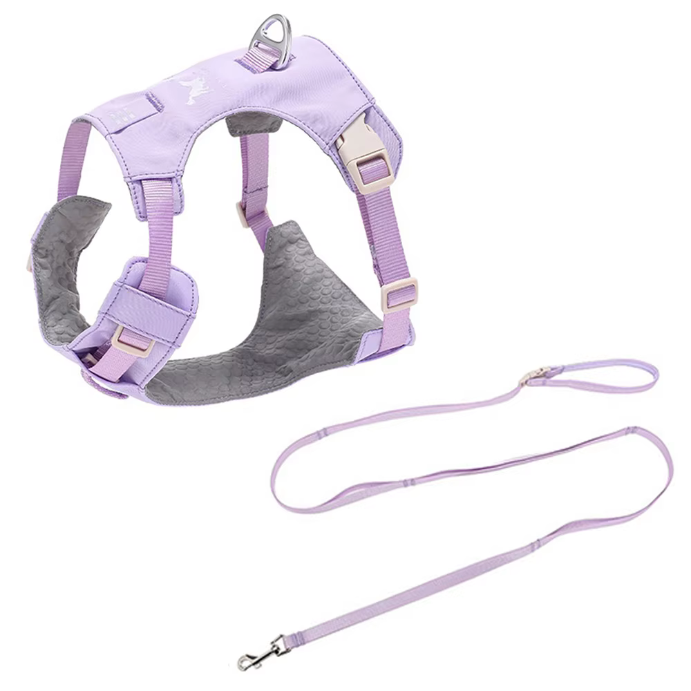 Harnais Confort & Laisse pour Chien — Léger et Ajustable