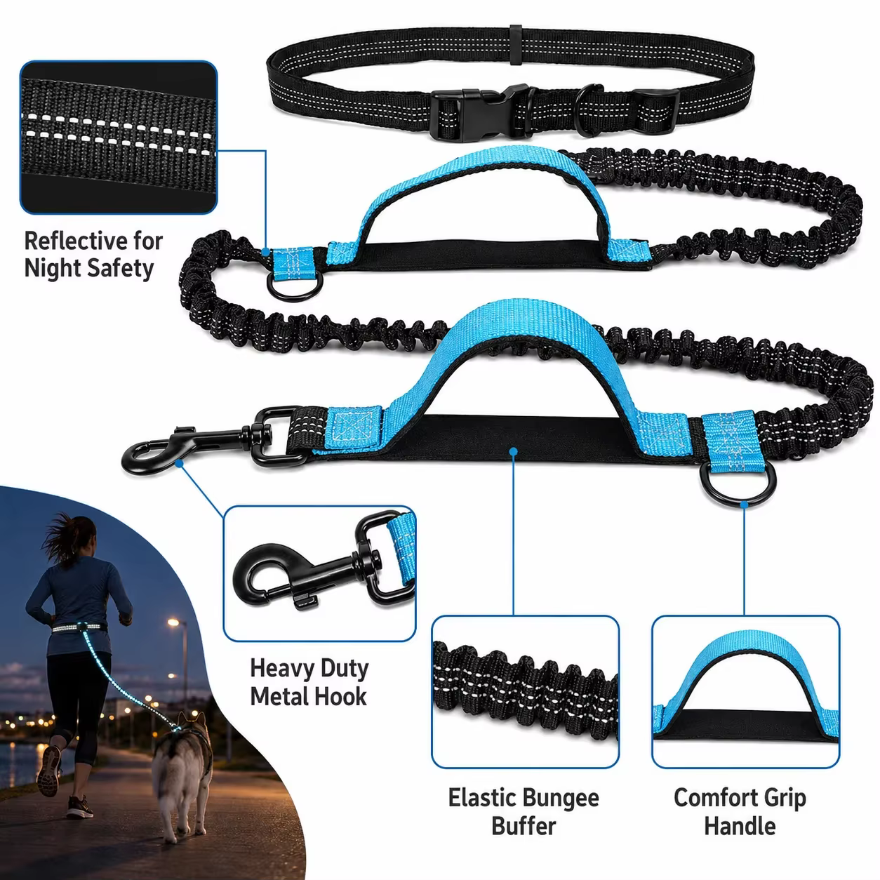 LAISSE POUR CHIEN 