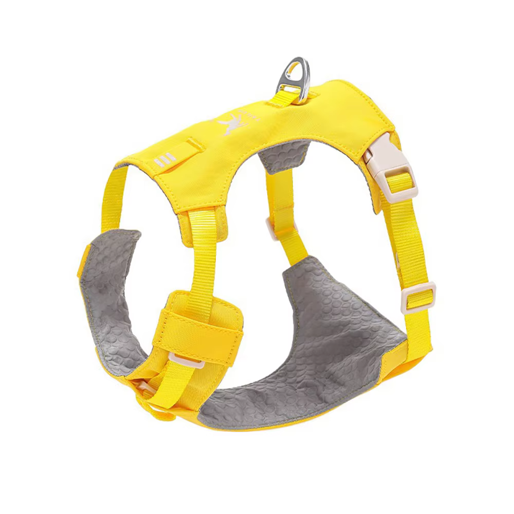 Harnais Confort & Laisse pour Chien — Léger et Ajustable