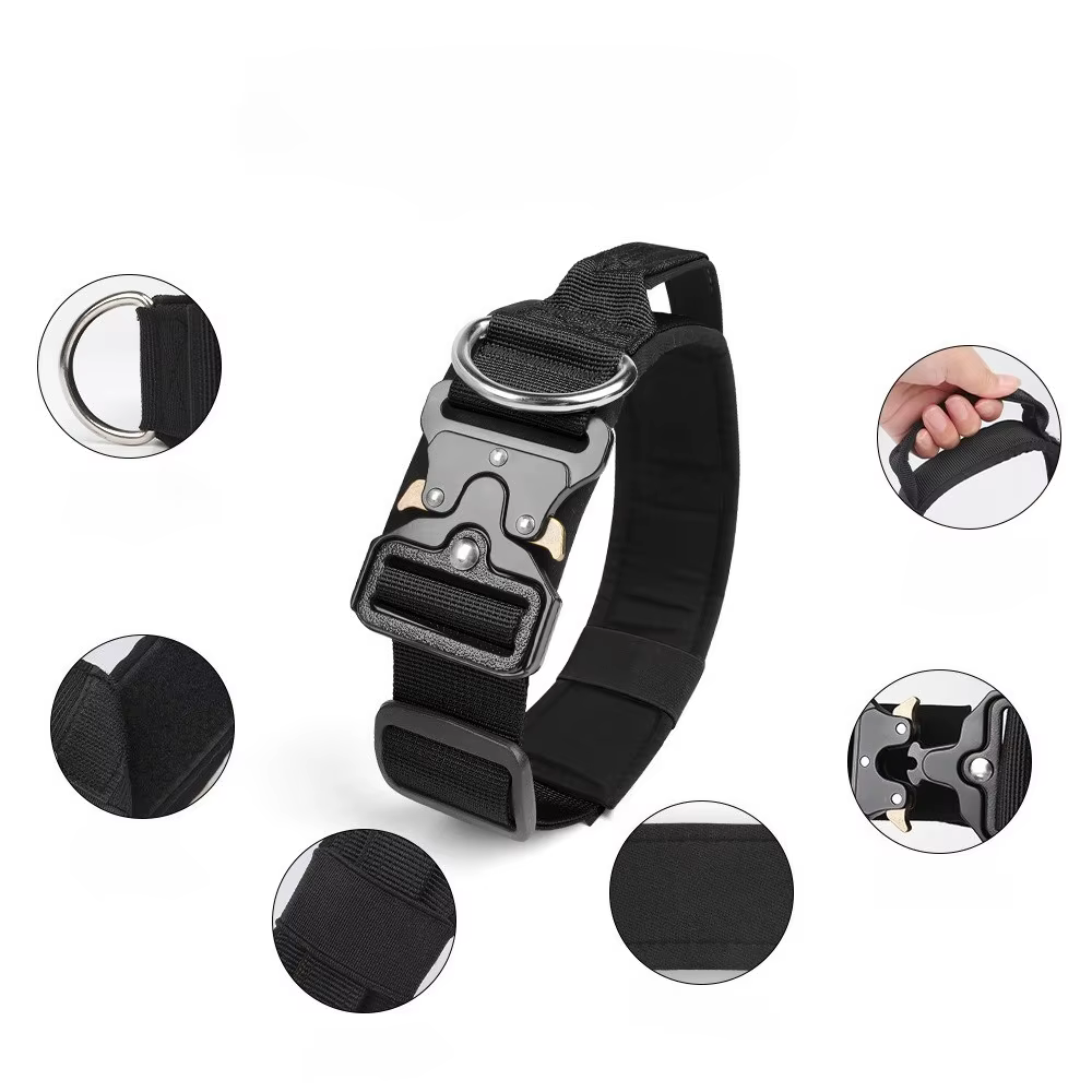 Collier Tactique pour Chien Réglable et Robustesse