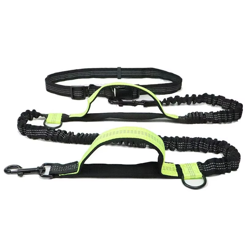 LAISSE POUR CHIEN 
