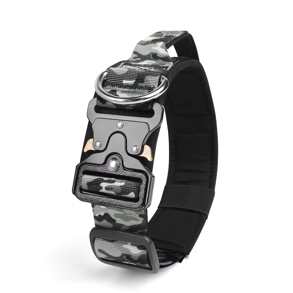 Collier Tactique pour Chien Réglable et Robustesse