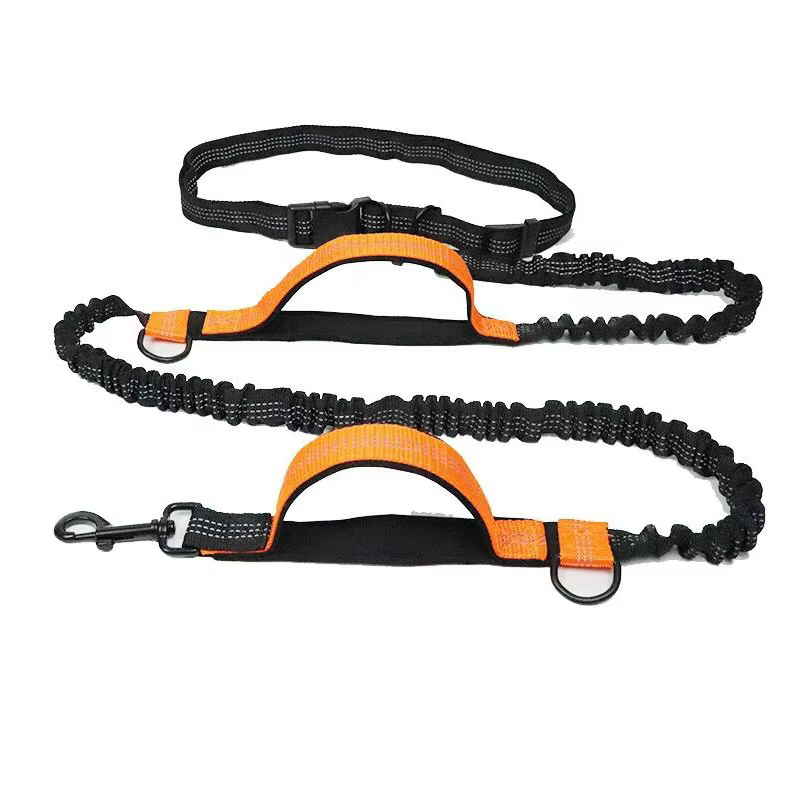 LAISSE POUR CHIEN 