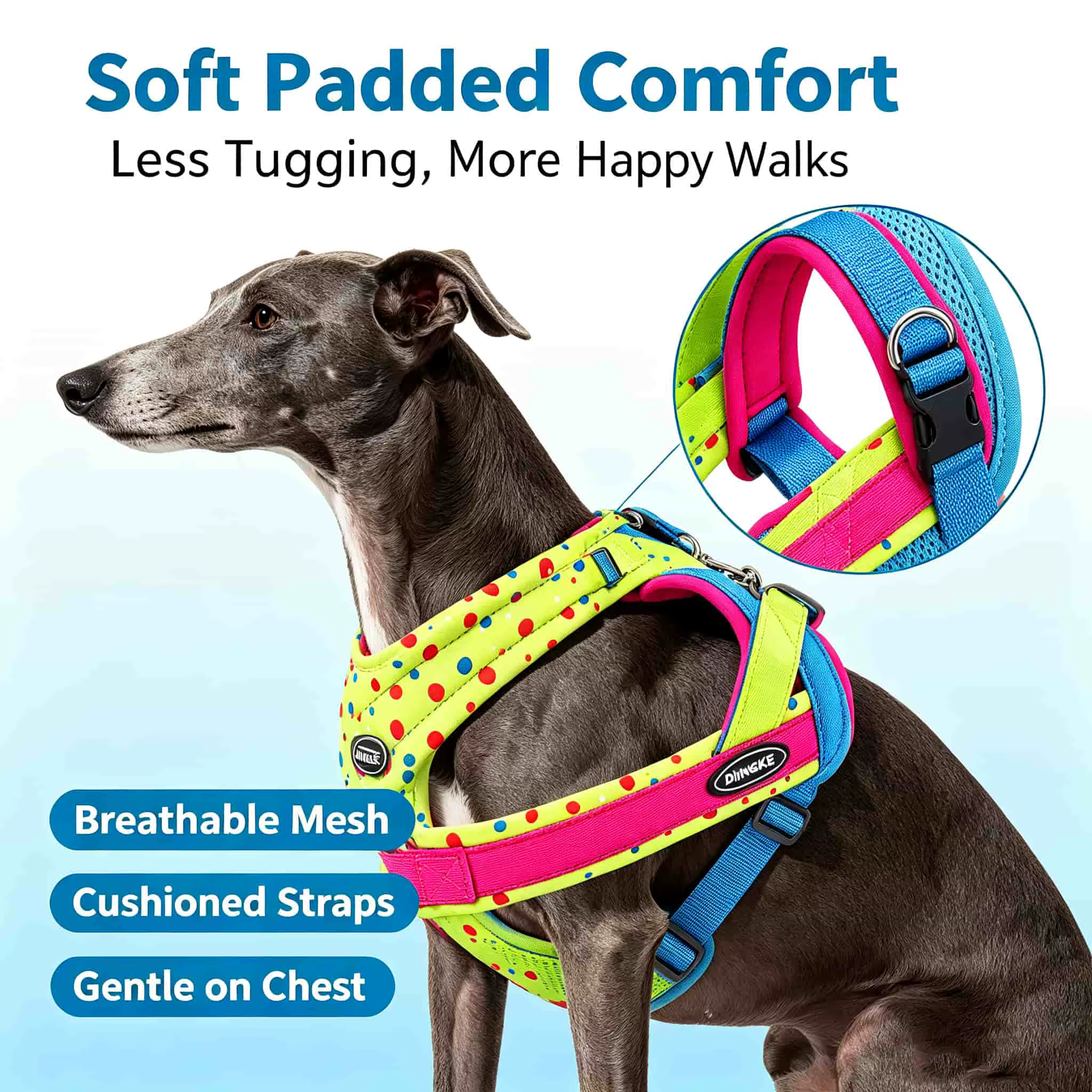 Harnais Chien Anti-Traction Rembourré + Laisse Assortie