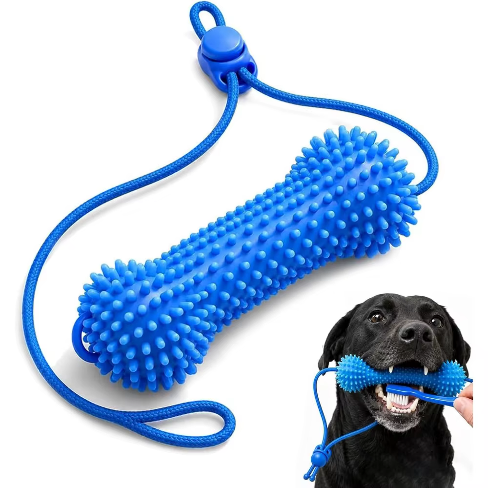 JOUET POUR CHIEN / BIEN-ËTRE POUR LES DENTS