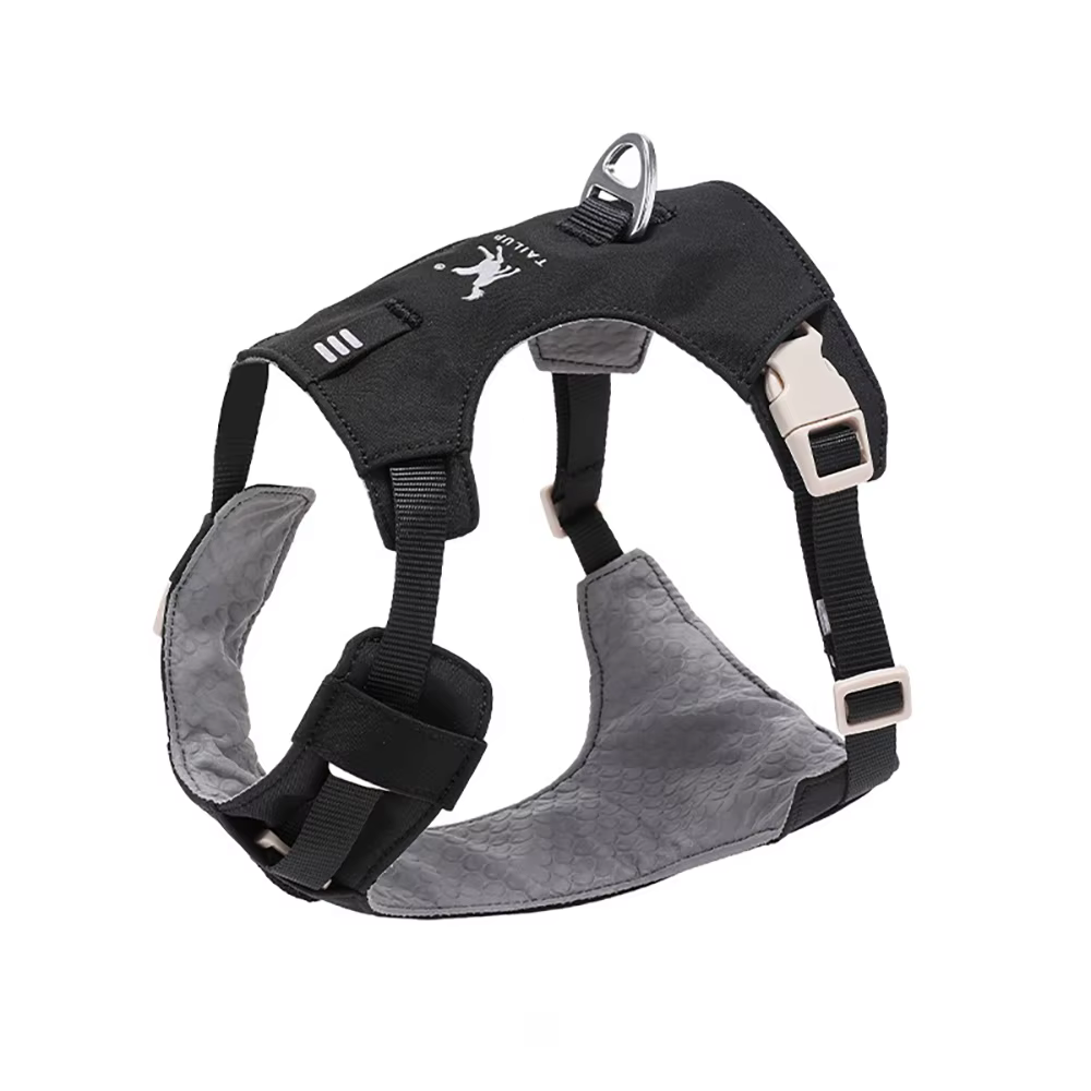 Harnais Confort & Laisse pour Chien — Léger et Ajustable