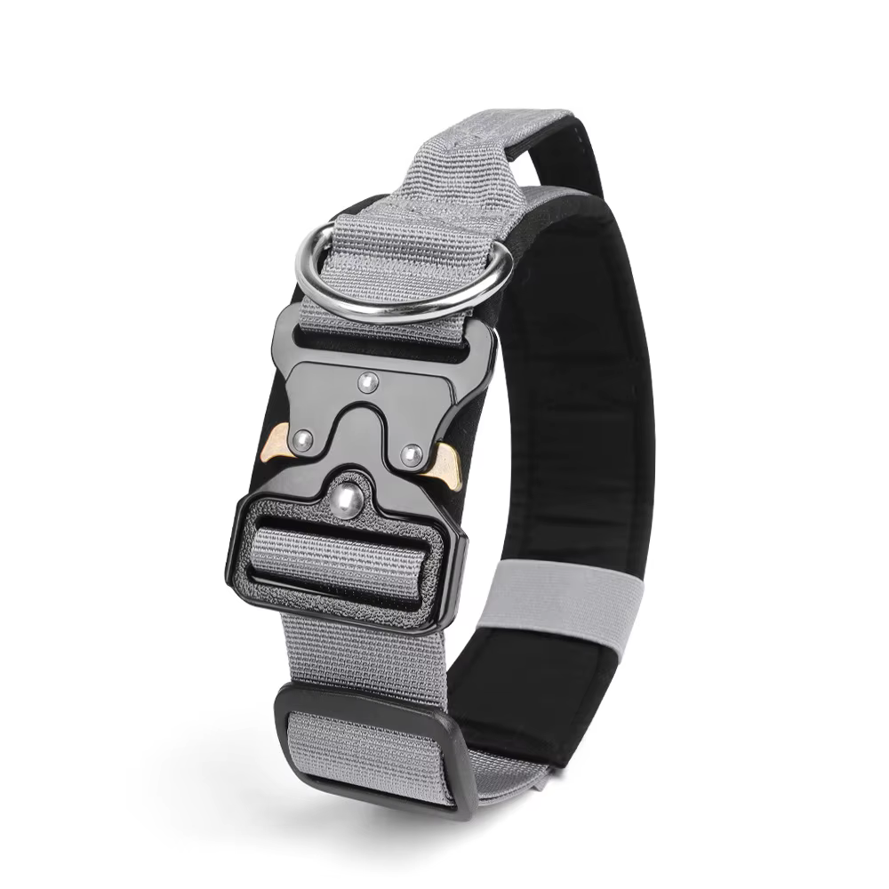 Collier Tactique pour Chien Réglable et Robustesse