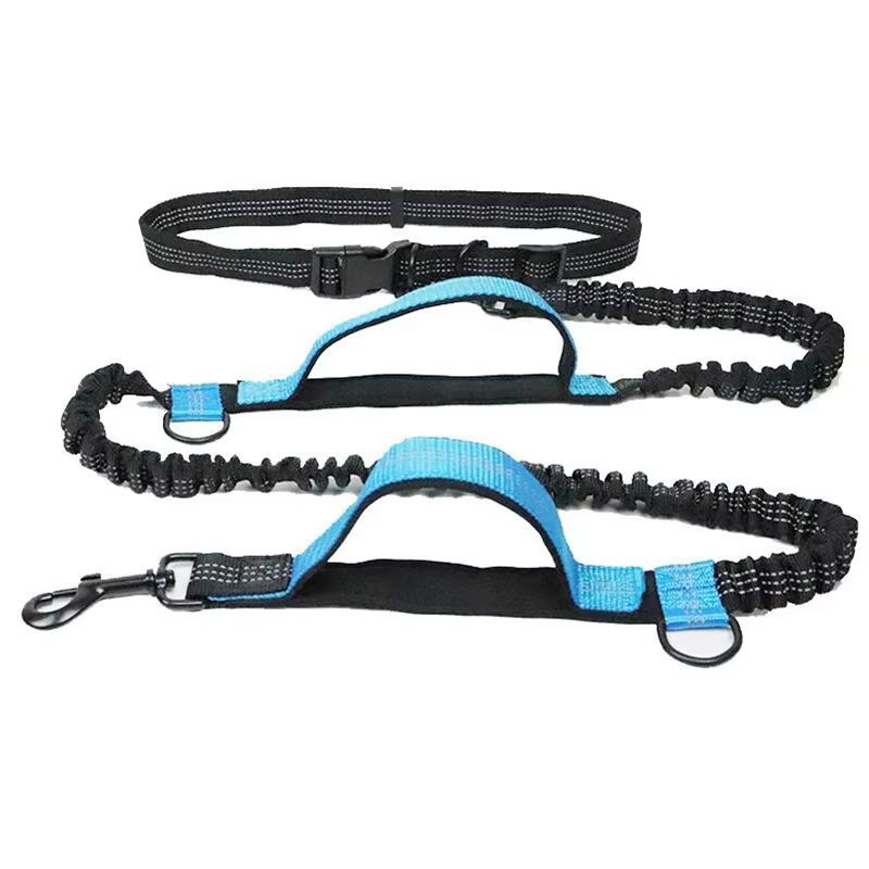 LAISSE POUR CHIEN 