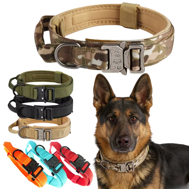 COLLIER POUR CHIEN