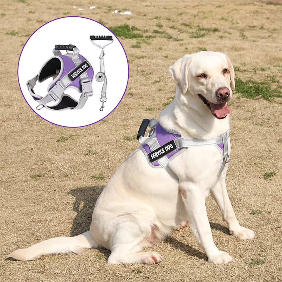 Harnais Chien Anti-Traction Réfléchissant & Ergonomique