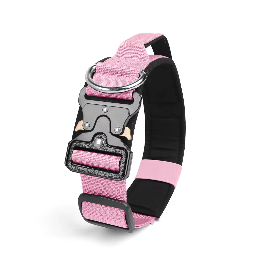 Collier Tactique pour Chien Réglable et Robustesse