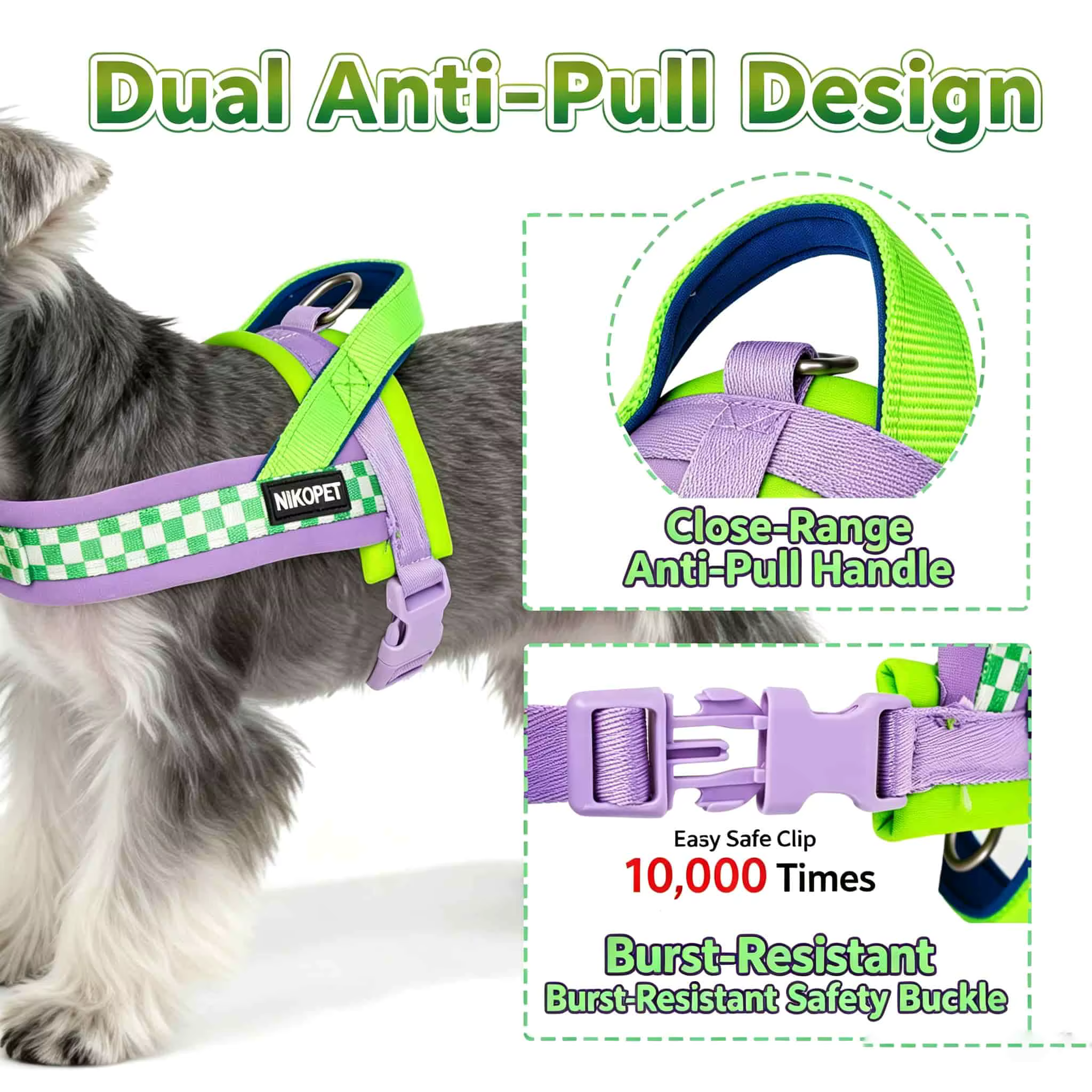 Harnais Chien Anti-Traction Rembourré + Laisse Assortie