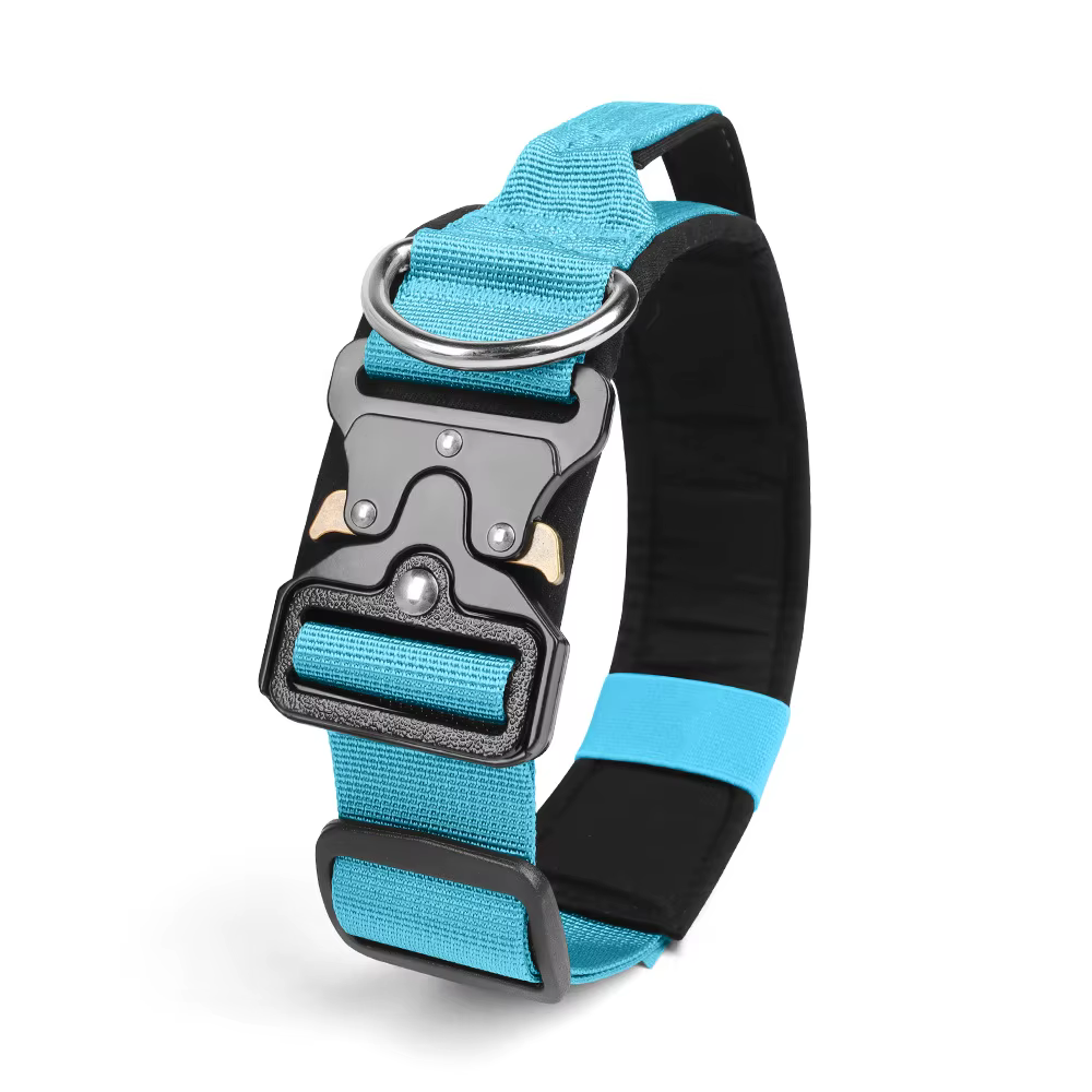 Collier Tactique pour Chien Réglable et Robustesse