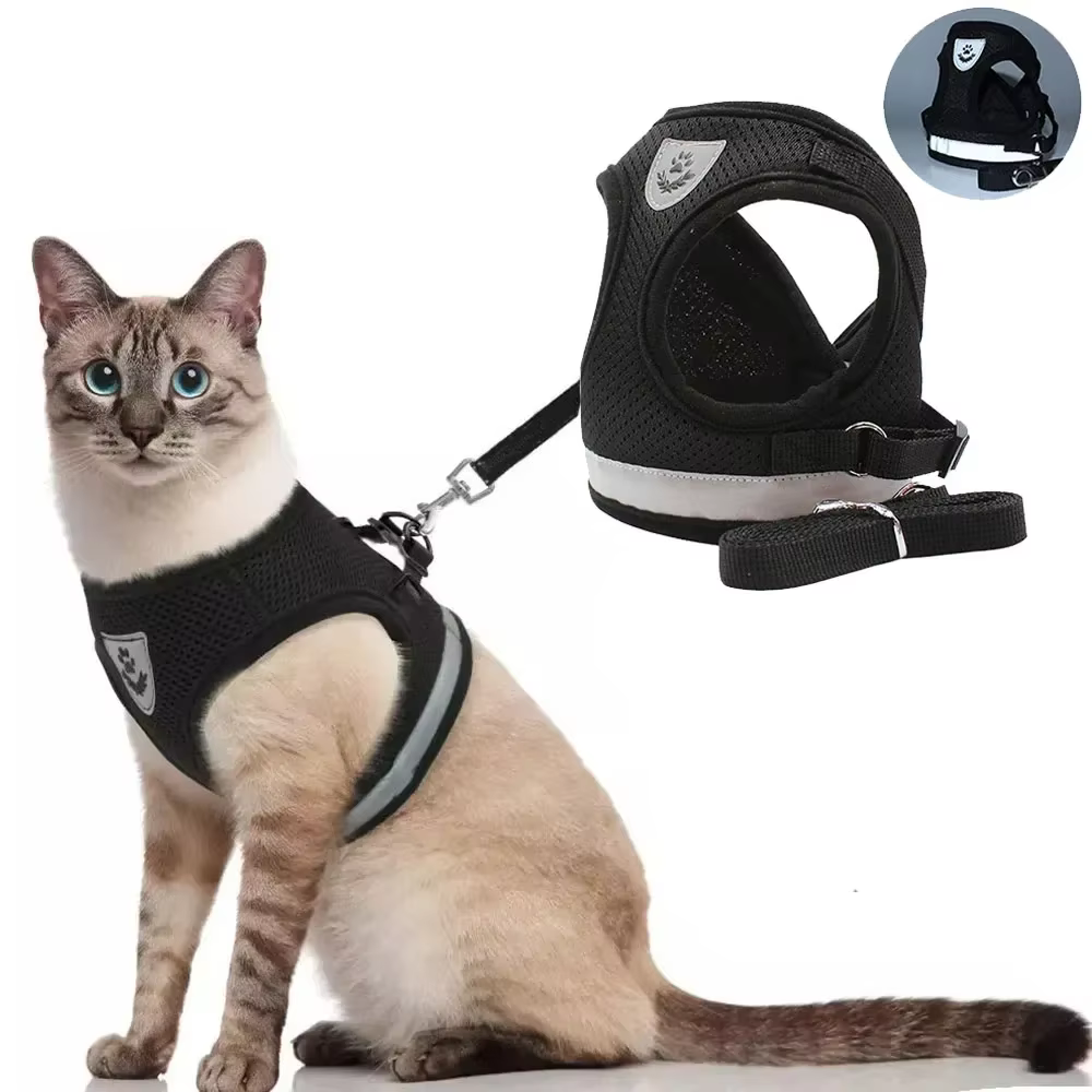 Harnais anti-traction et laisse pour chat et petit chien  réfléchissant