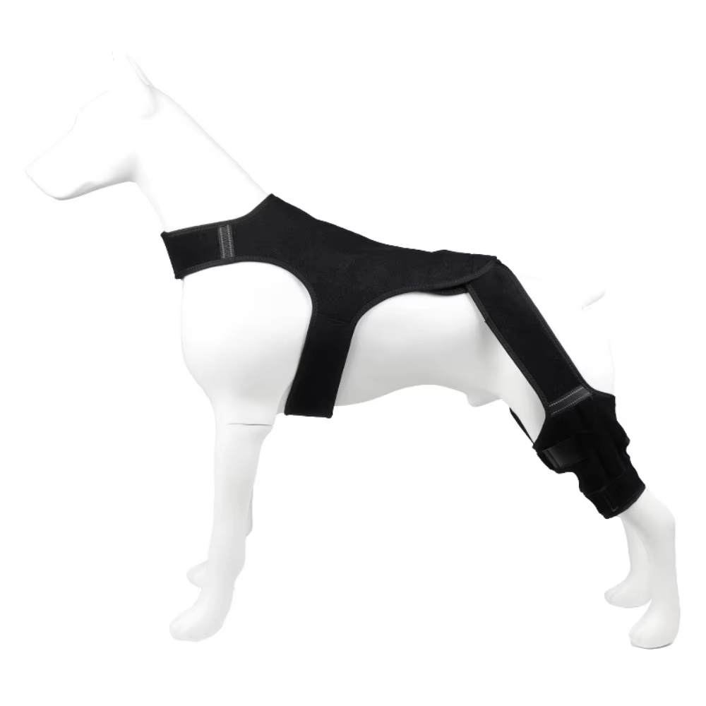 Attelle de Genou pour Chien — Orthèse Médicale Post-Opératoire