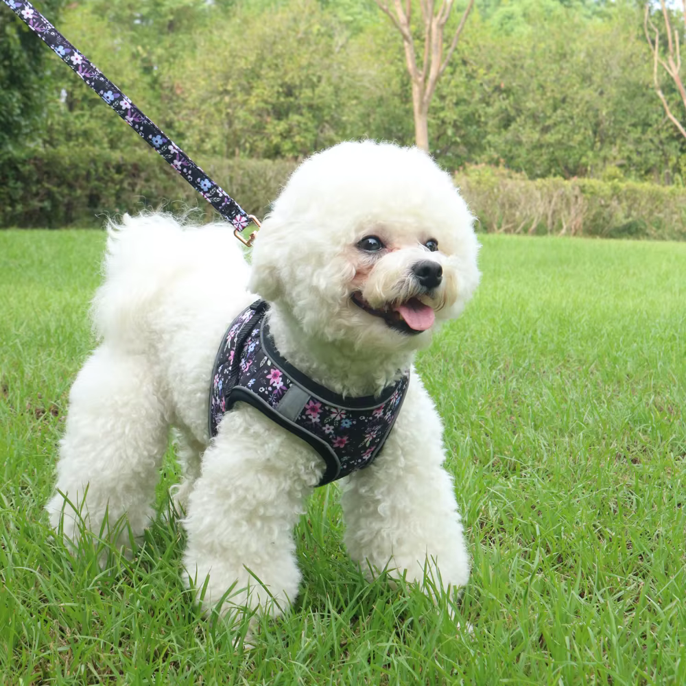 Harnais Tactique pour Chien Réglable et Résistant