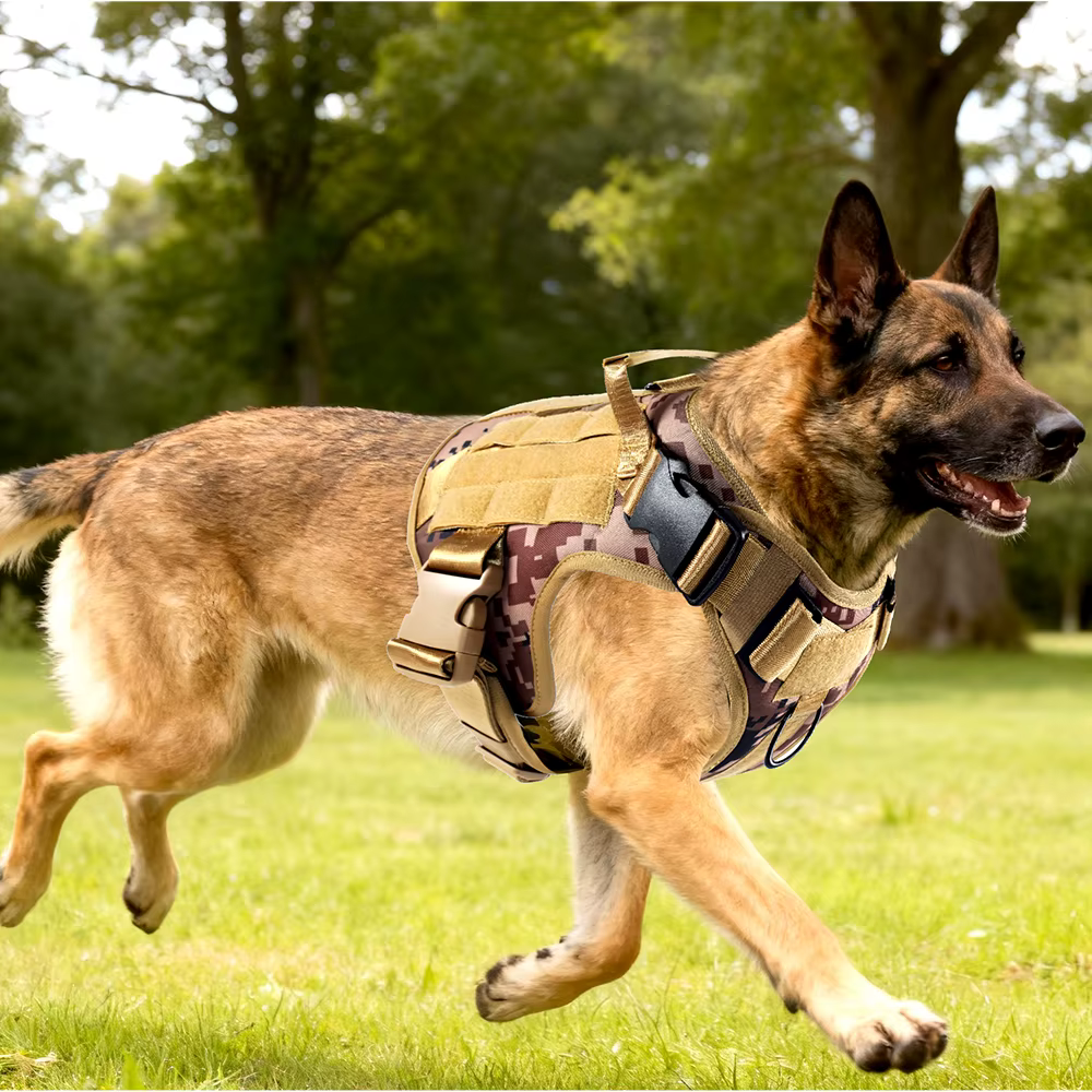 Harnais Tactique pour Chien Réglable et Résistant