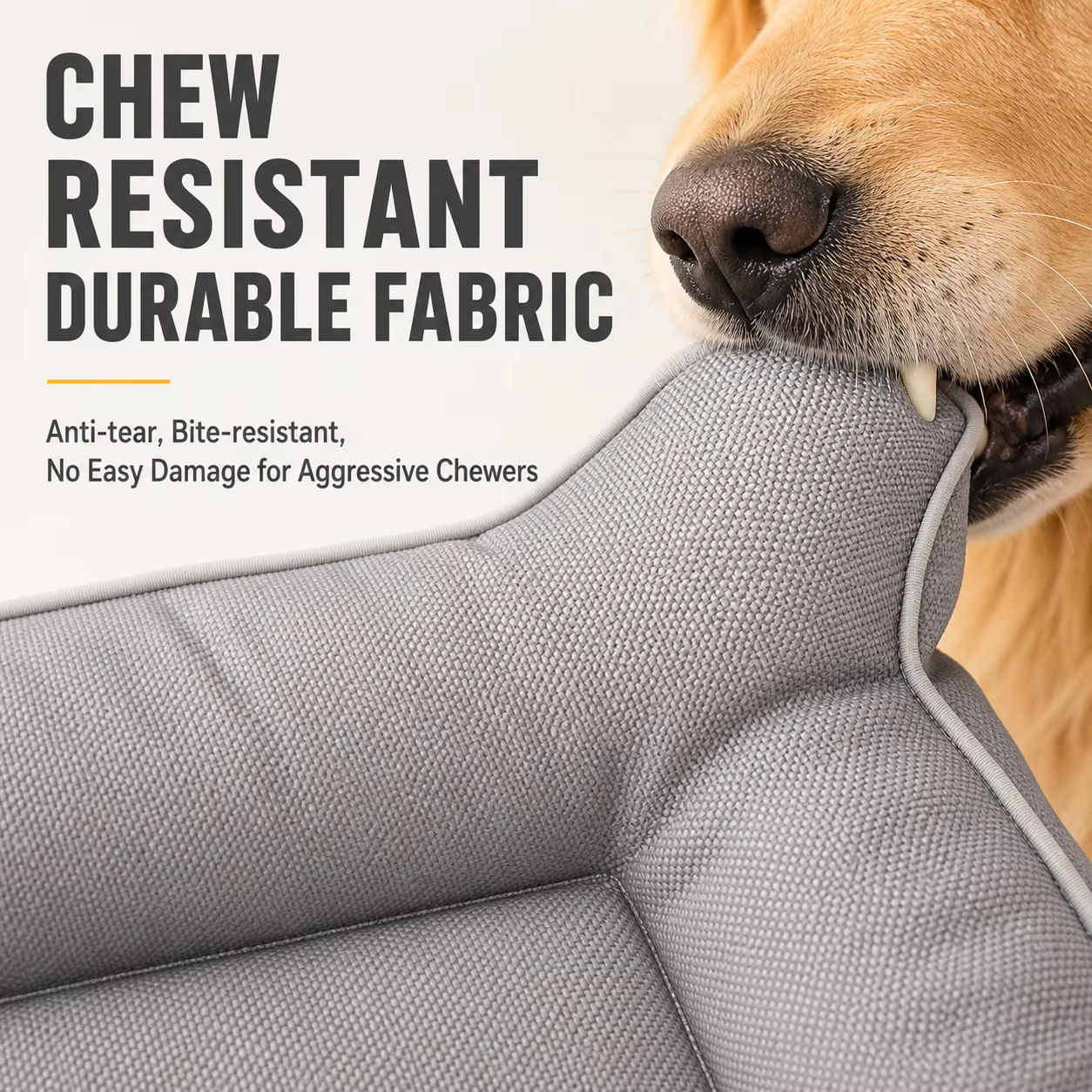 Panier pour chien confortable et imperméable