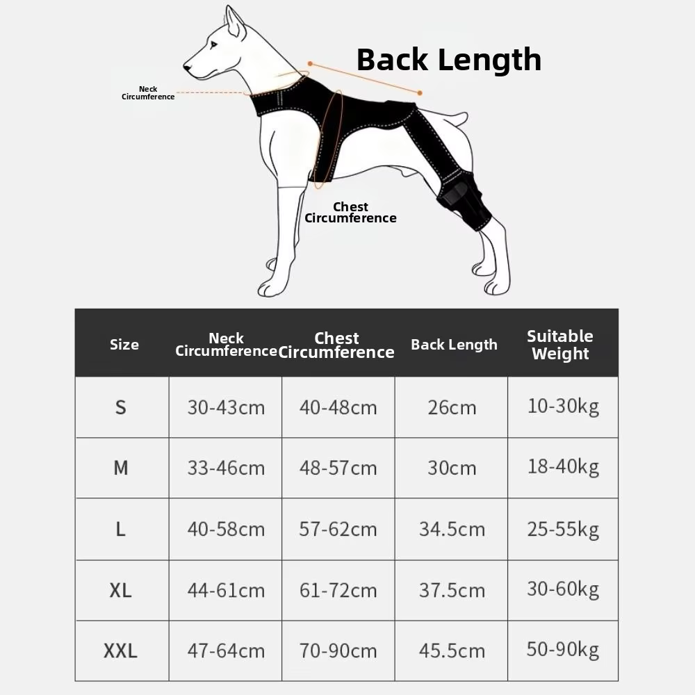 Attelle de Genou pour Chien — Orthèse Médicale Post-Opératoire