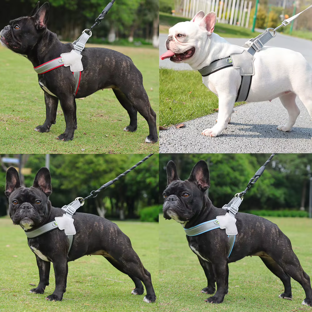 Harnais en Y pour Chien | Confortable, Respirant & Réfléchissant