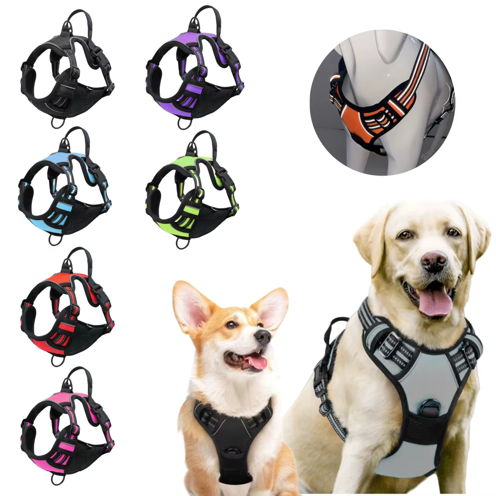 Harnais pour chien réglable et confortable – Sécurité, maintien et visibilité