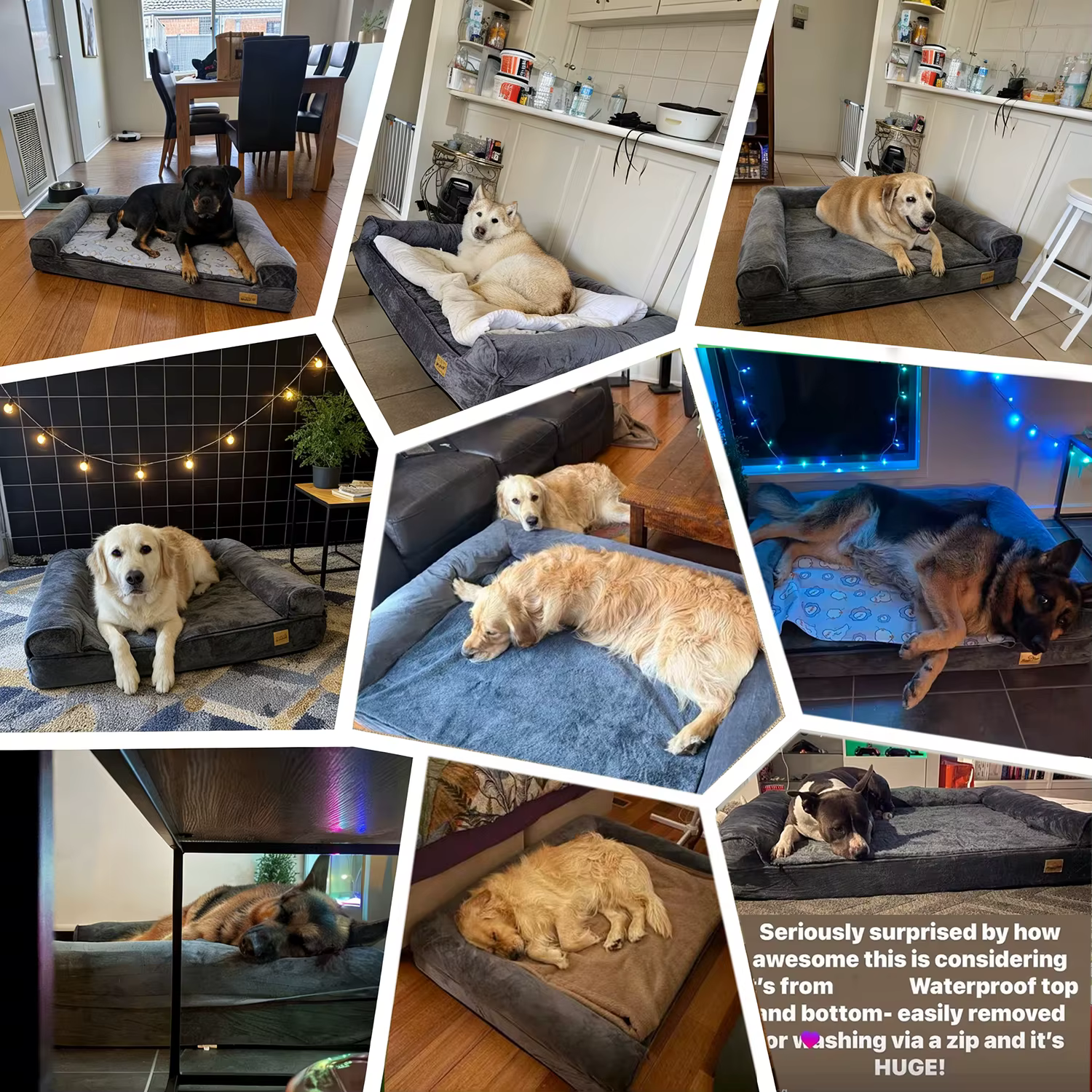 lit Orthopédique Memory  pour chien
