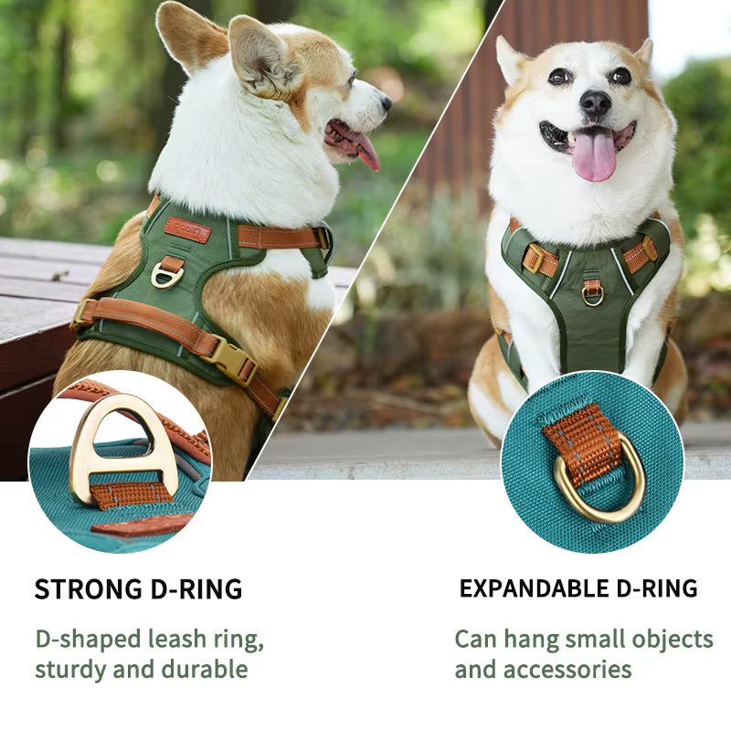 Harnais pour chien réfléchissant – Confort, sécurité et visibilité