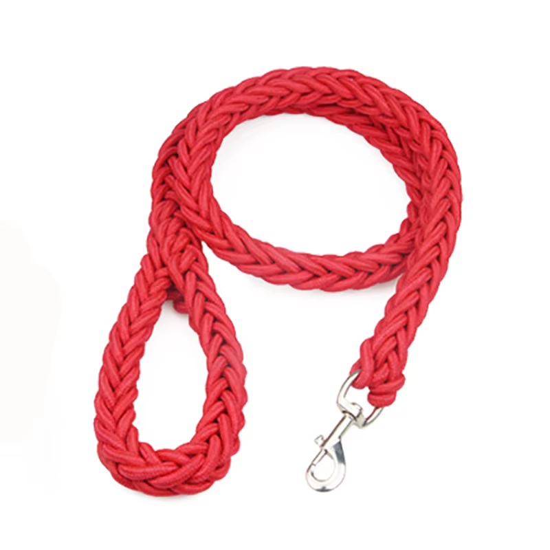 Laisse en Corde Tressée pour Chien | Robuste & Colorée