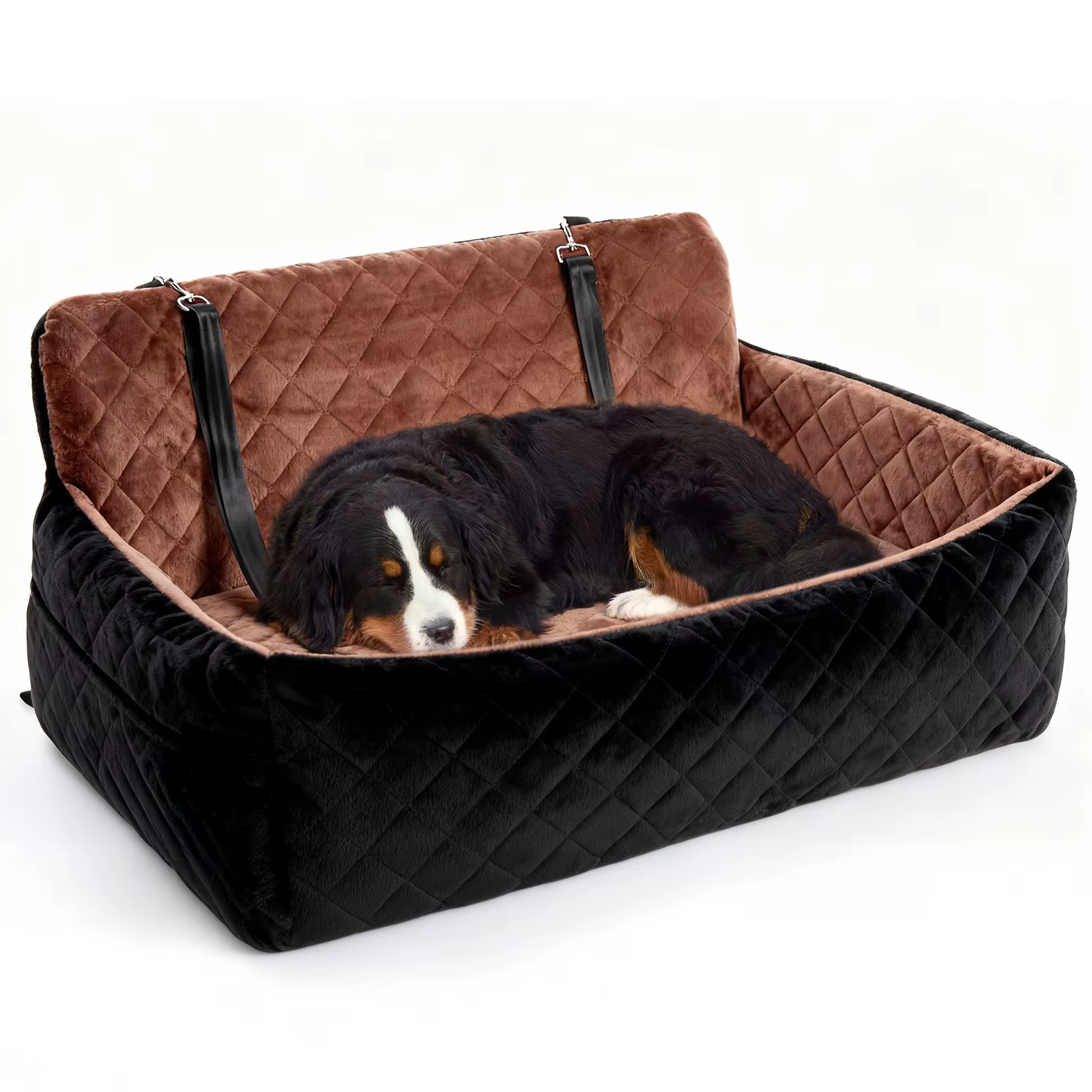 panier confort pour chien