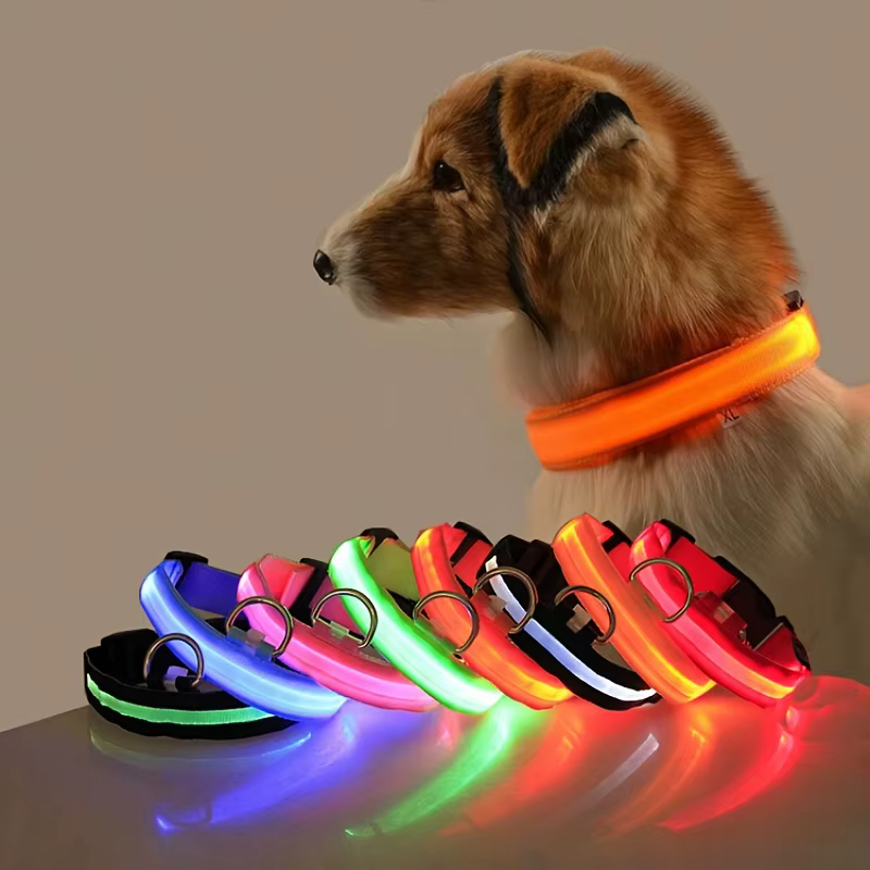 LAISSE POUR CHIEN