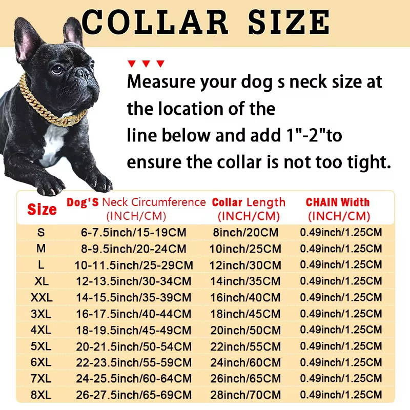 collier bijoux pour chien