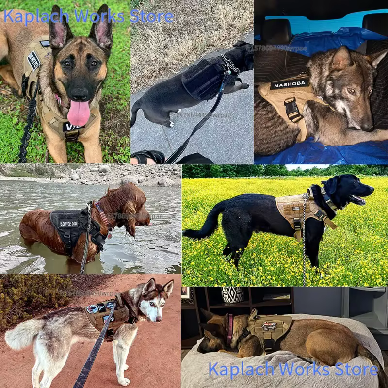 Harnais Tactile pour Chien – Harnais Réglable, Confortable et Résistant
