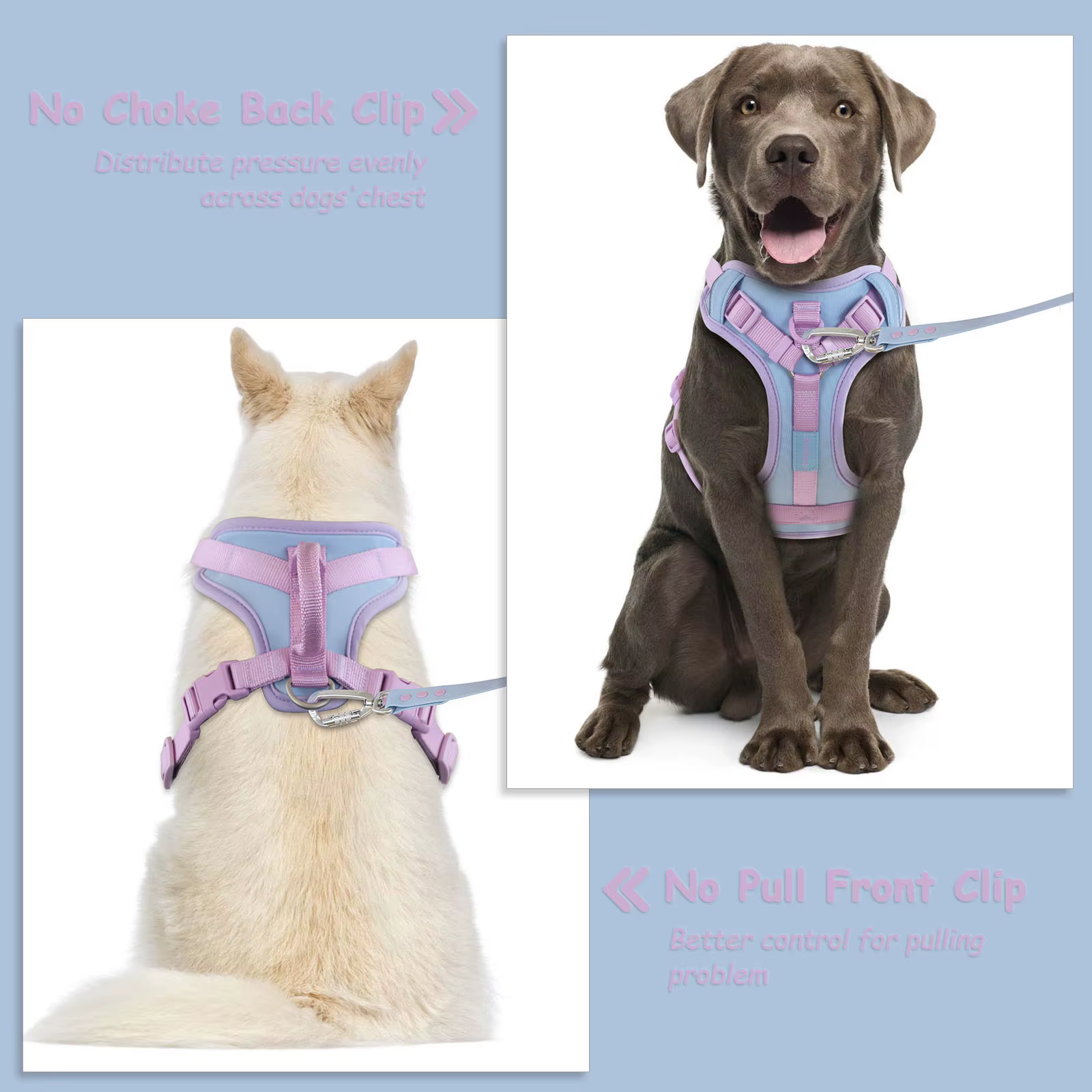 Harnais Anti-Traction Chien Ajustable & Confortable