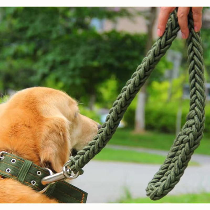 Laisse en Corde Tressée pour Chien | Robuste & Colorée