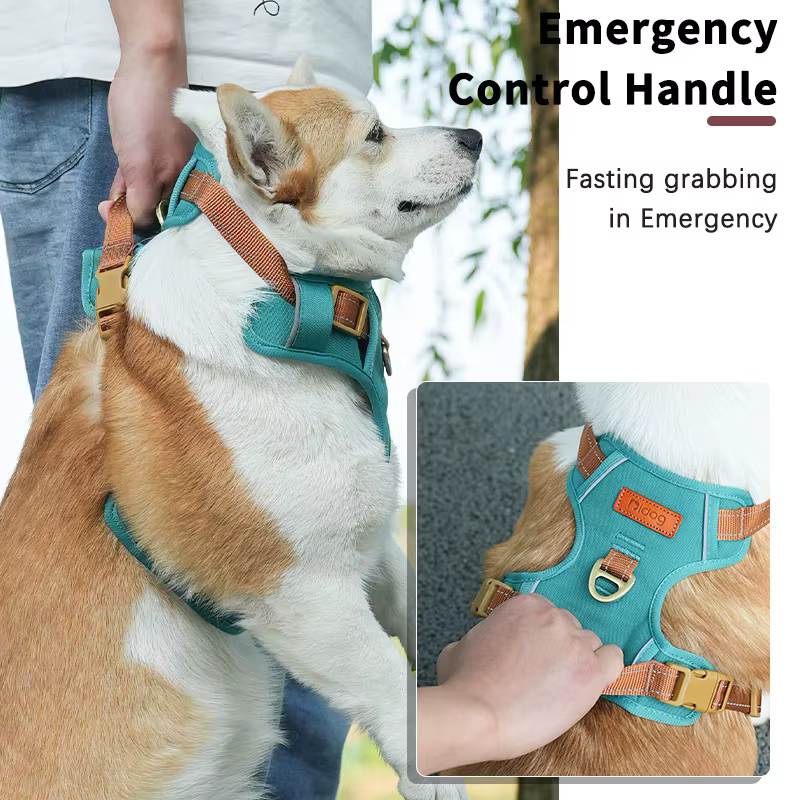 Harnais pour chien réfléchissant – Confort, sécurité et visibilité