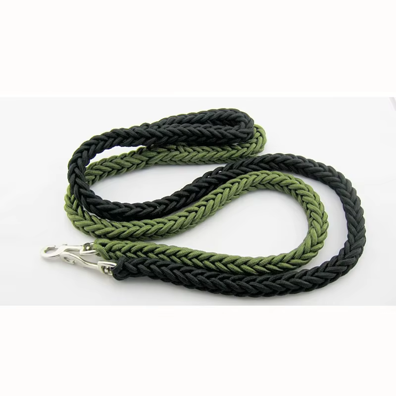 Laisse en Corde Tressée pour Chien | Robuste & Colorée