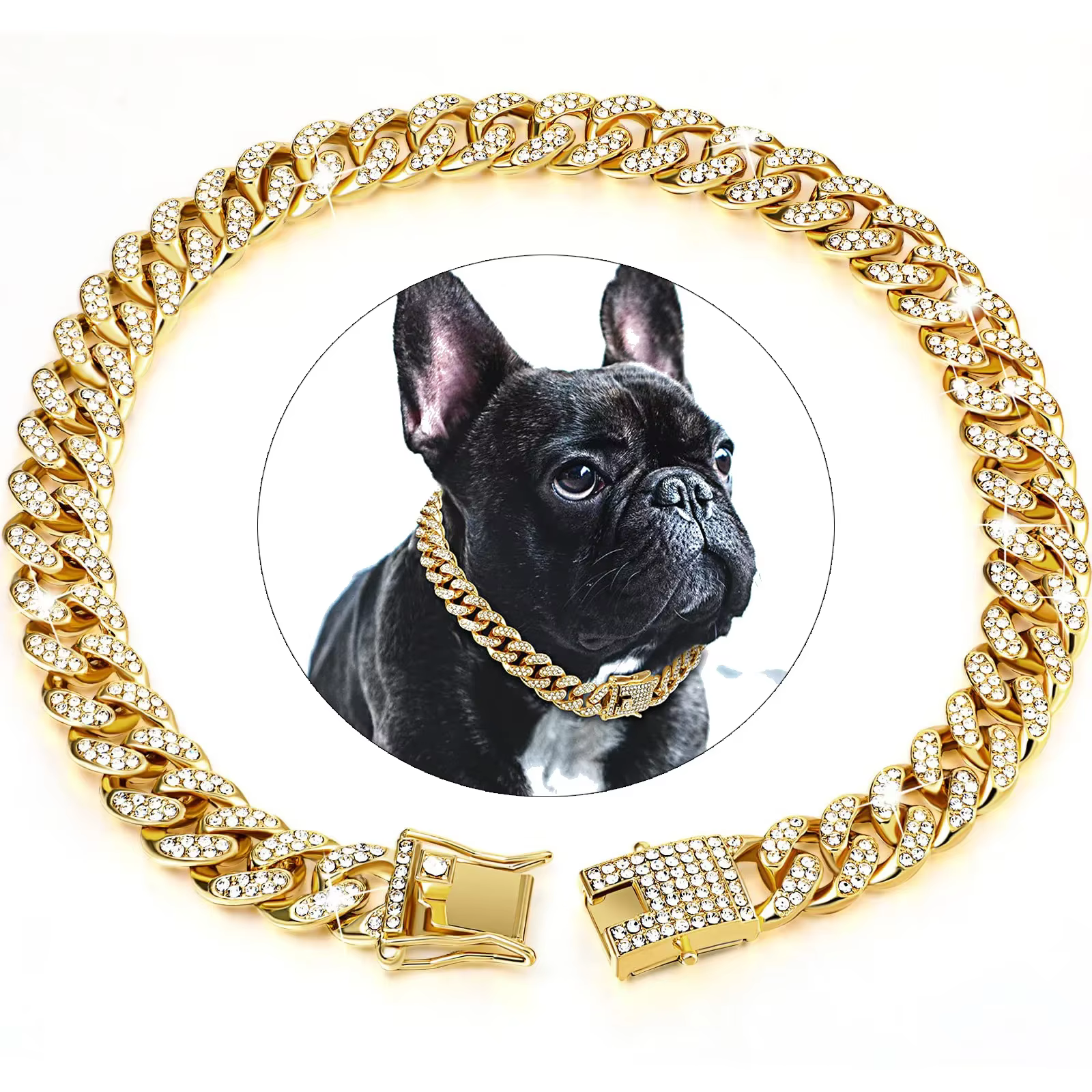 collier bijoux pour chien