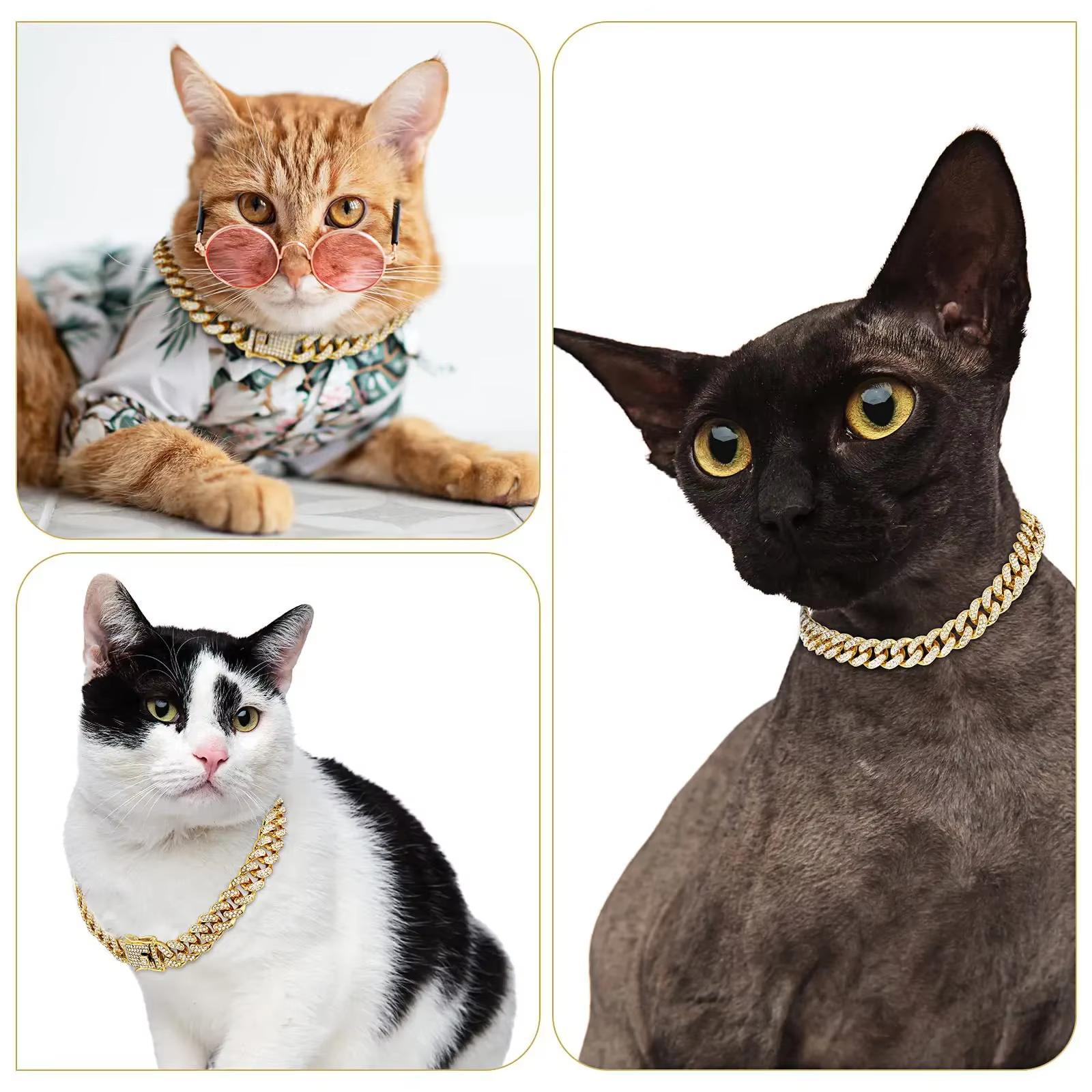collier bijoux pour chien