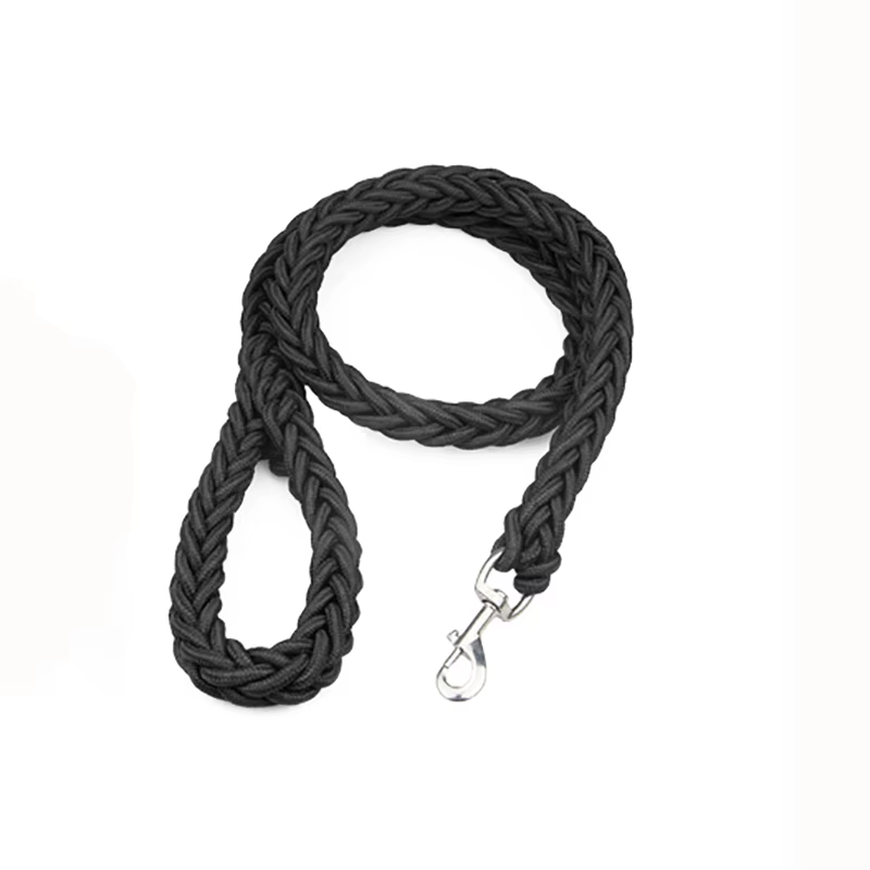 Laisse en Corde Tressée pour Chien | Robuste & Colorée