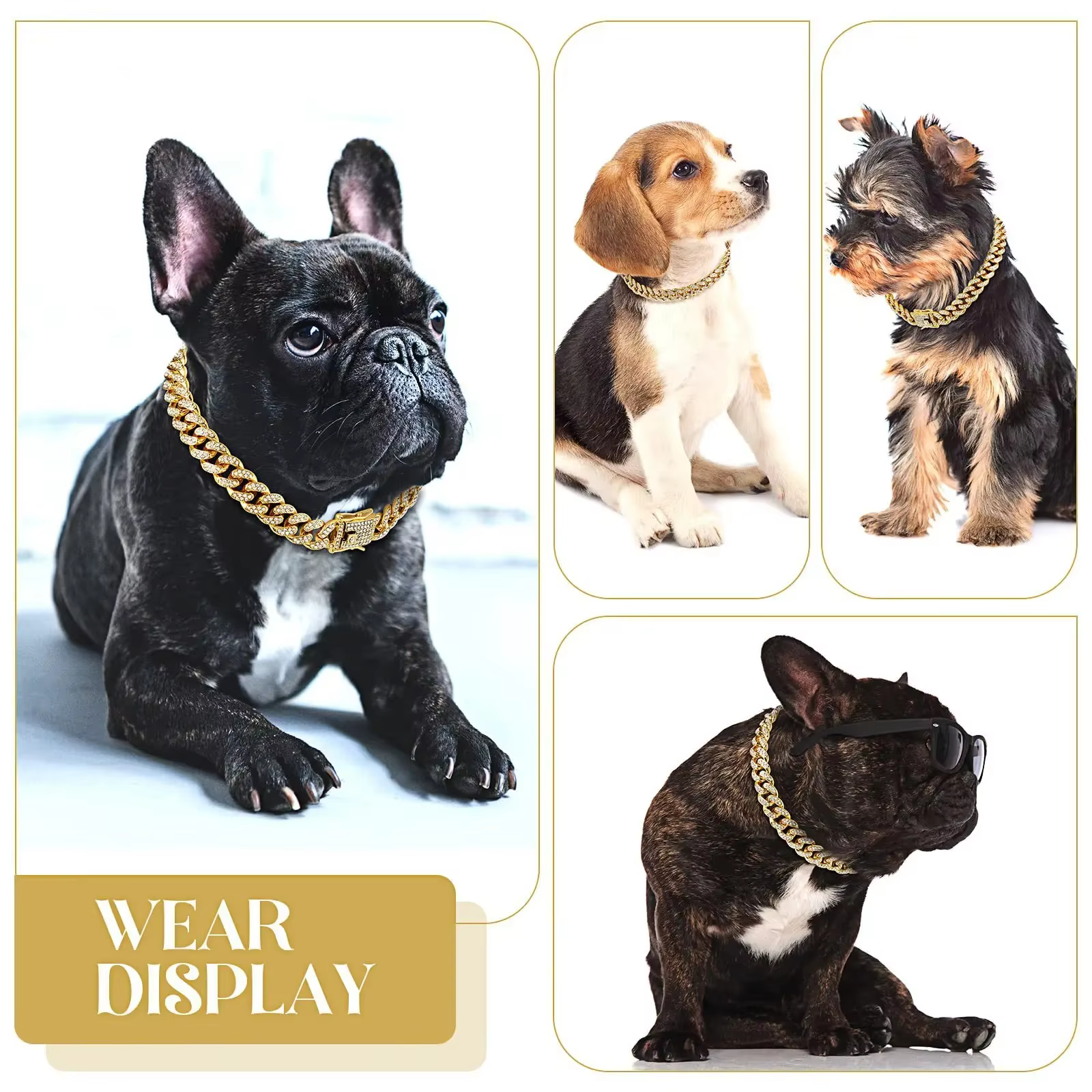 collier bijoux pour chien