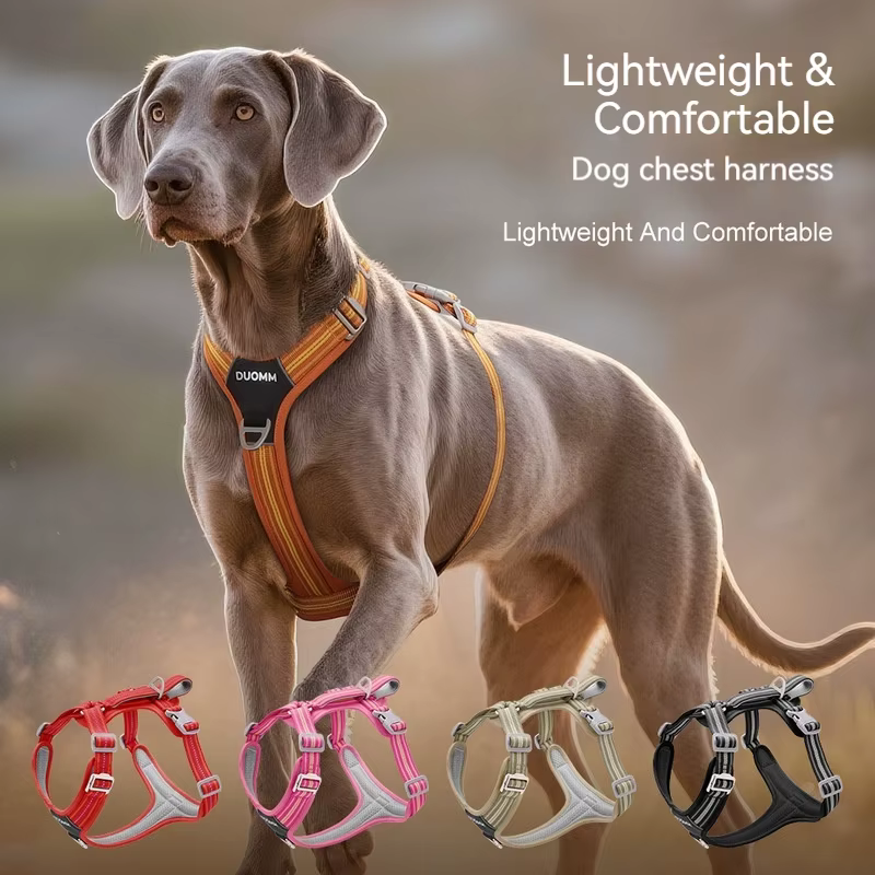 Harnais pour chien réglable