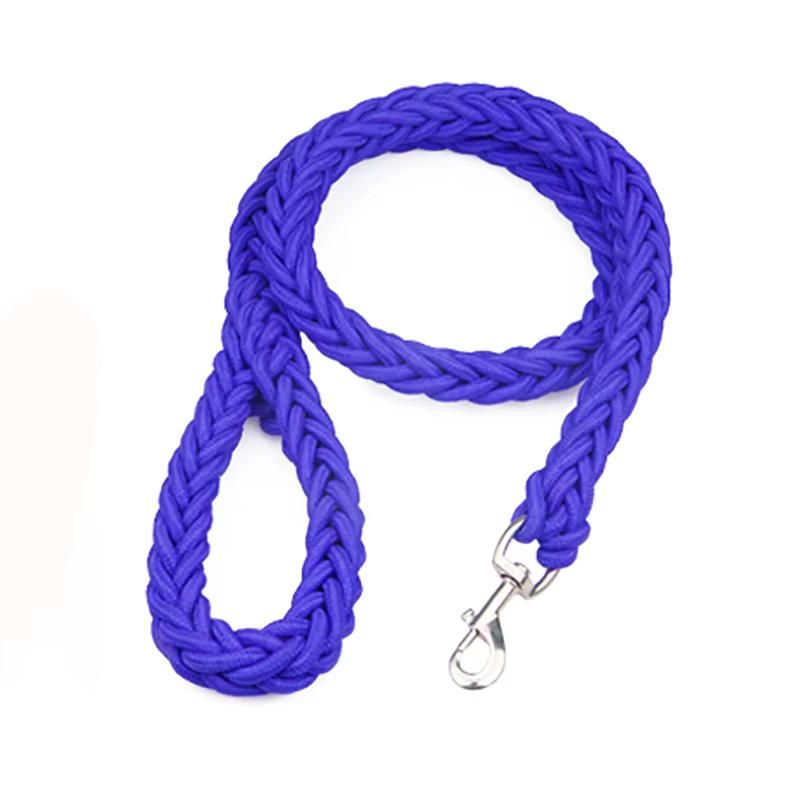 Laisse en Corde Tressée pour Chien | Robuste & Colorée