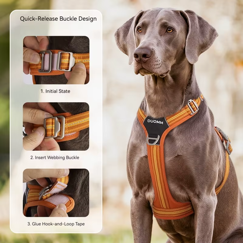 Harnais pour chien réglable